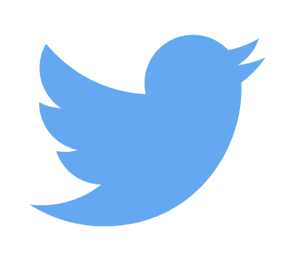 twitter-logo_2