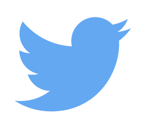 twitter-logo_2